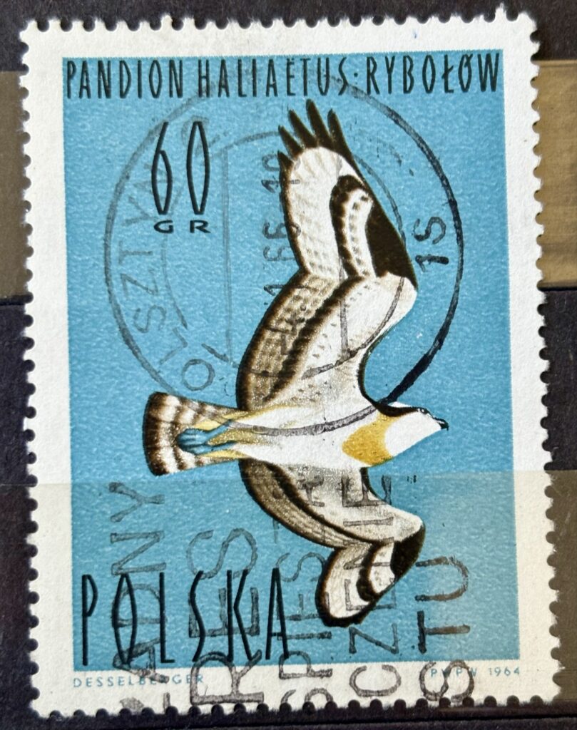 1f432233ed2b29262ed3eb03ba3b68daba067d321f1392f99381a9f2f5c3d1647751f0f2aeec19fb27ee46316afc504dc63d39310b67ce05bedbce7218a1958df7d04460d1734612d4e438b26e3f9245834a1a62f3b718f72cc5f8d1cbd63c3f