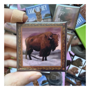 Przypinka 50x50mm Żubr