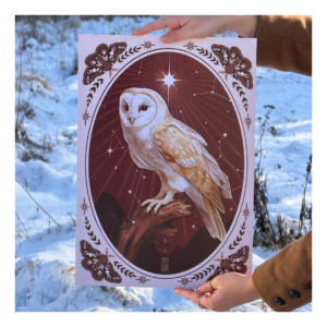 Plakat Płomykówka gwiazda polarna