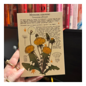 Pocztówka Mniszek lekarski