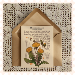 Pocztówka Mniszek lekarski