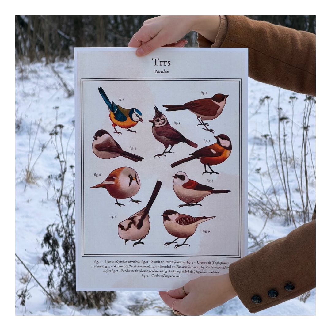 Plakat Tits - obrazek 4