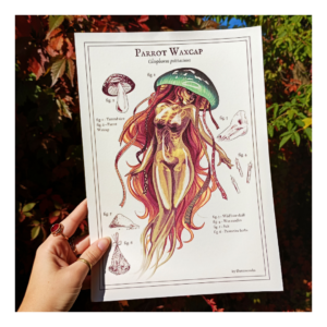 Plakat Parrot Waxcap