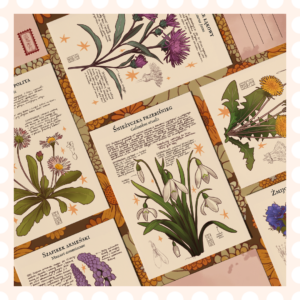 Zestaw pocztówek botanicznych