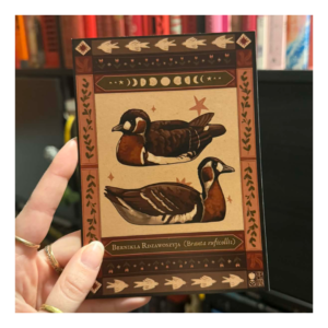 Pocztówka Bernikla rdzawoszyja