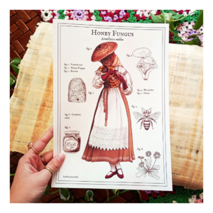 Plakat Honey Fungus