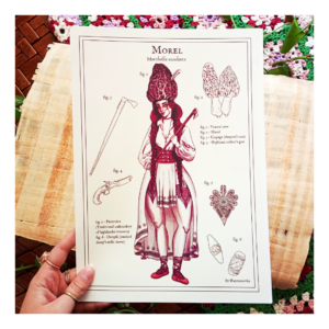 Plakat Morel