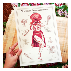 Plakat Wrinkled Peach Mushroom