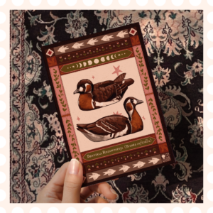 Pocztówka Bernikla rdzawoszyja