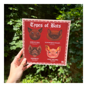 Plakat Types of Bats