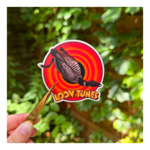 Naklejka Loon tunes